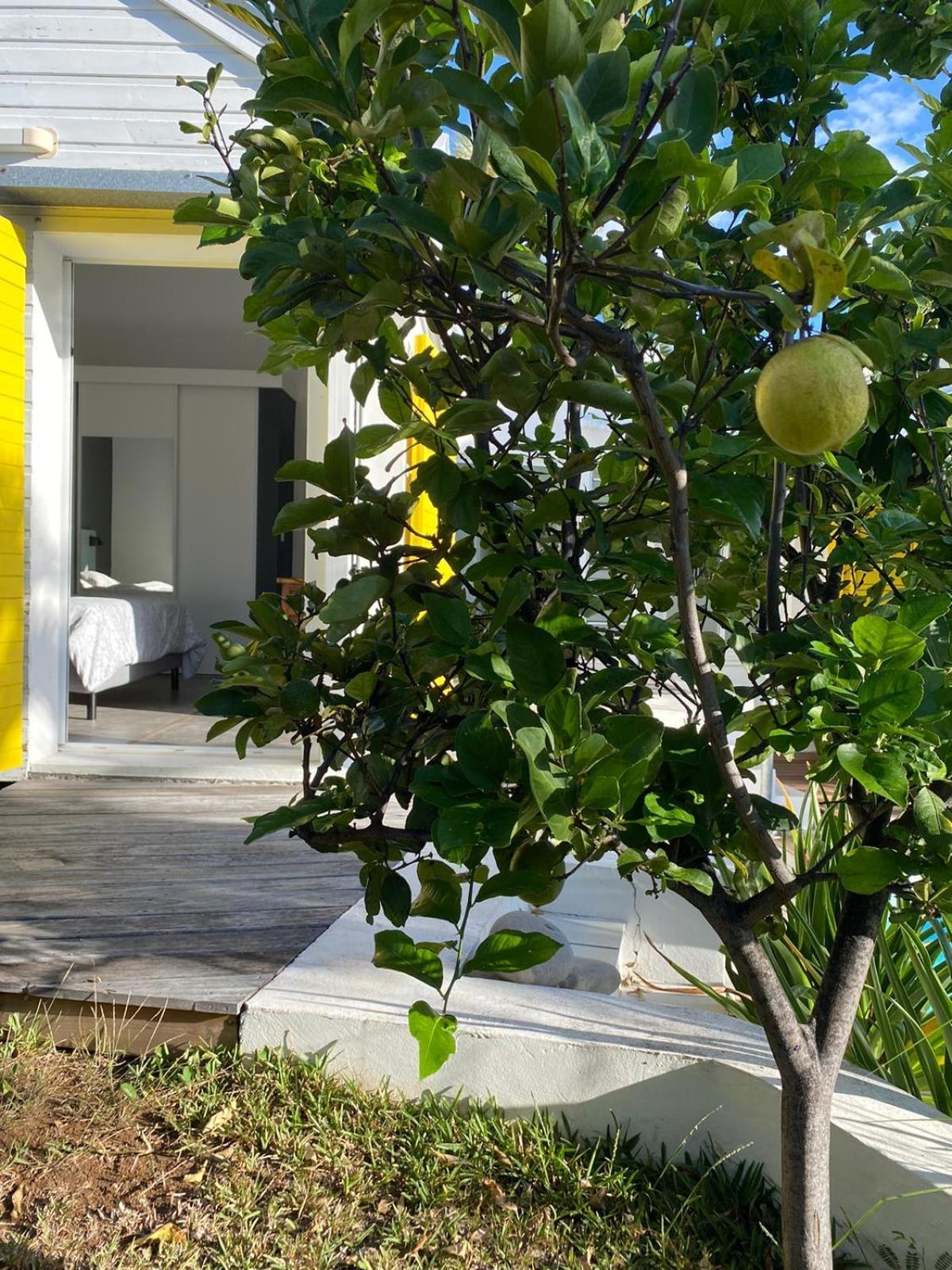 Villa Ylang Saint-Gilles-les Bains Exteriör bild